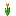 Tulipe orange