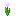 Tulipe rose