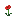 Coquelicot