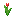 Tulipe rouge