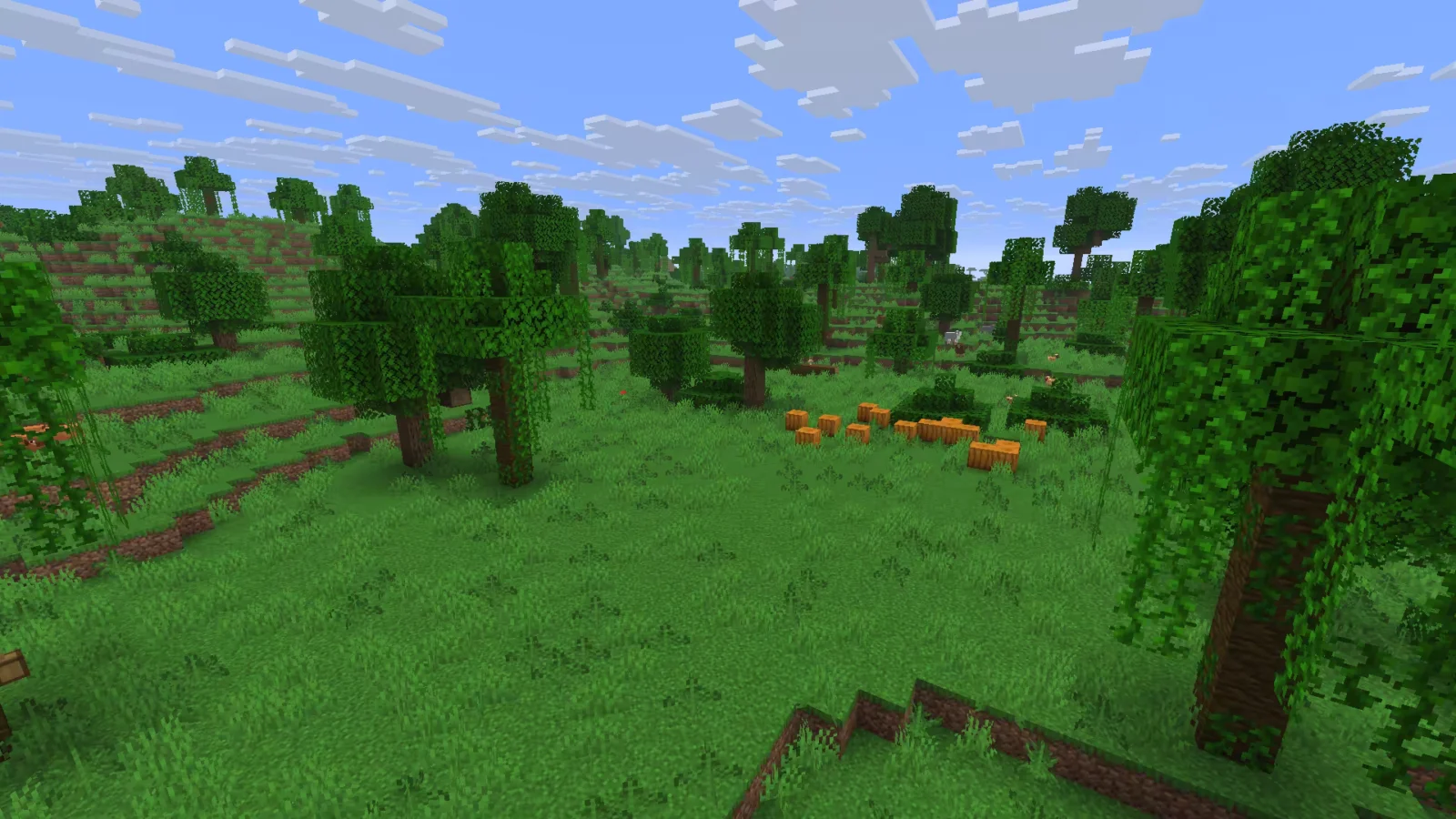 Biome Jungle clairsemée dans Minecraft.