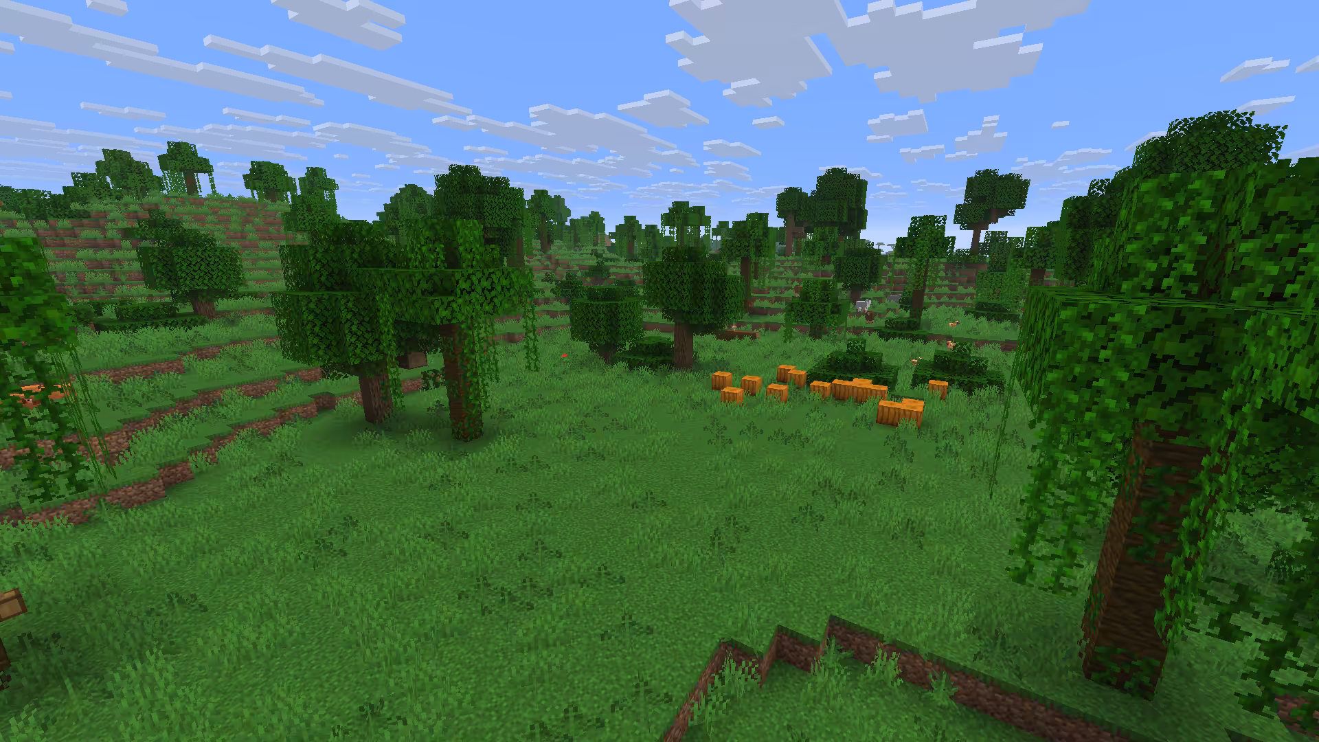 Biome Jungle clairsemée dans Minecraft.