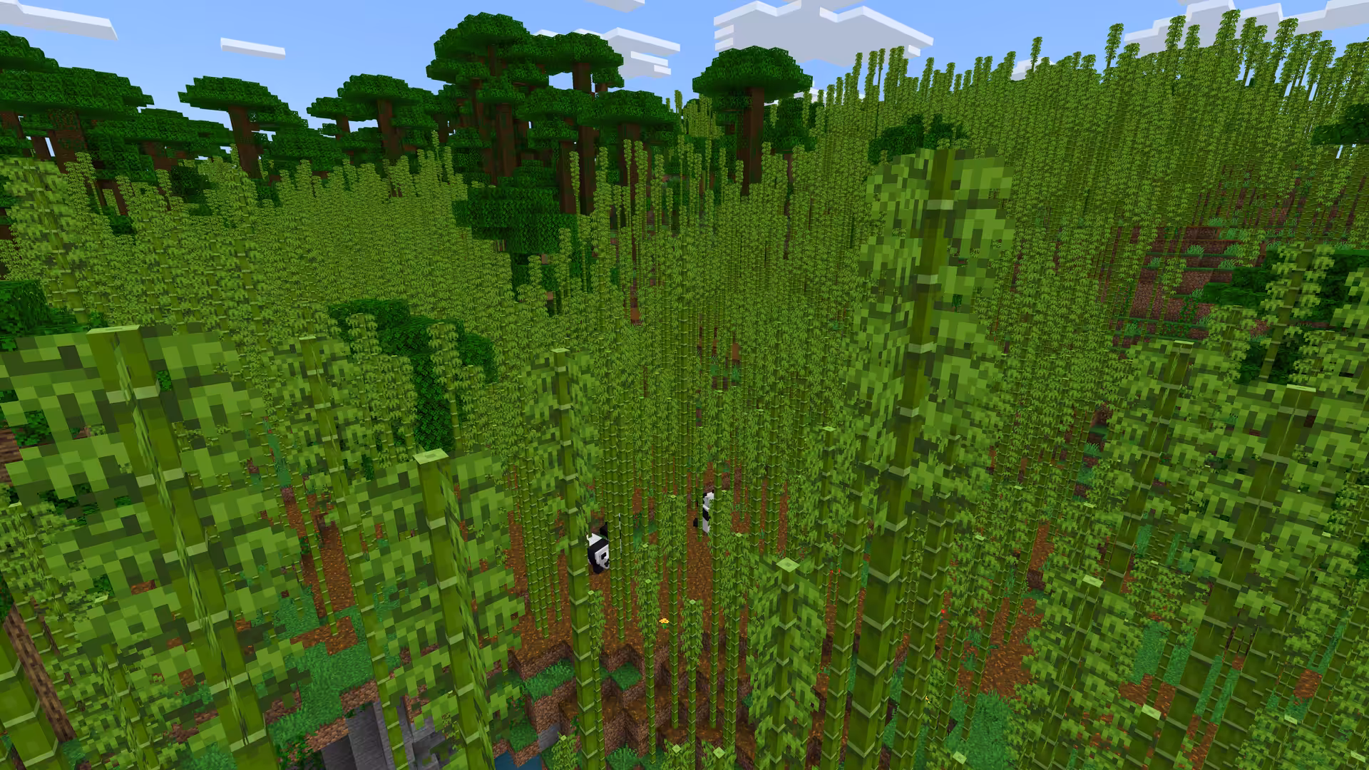Biome Jungle de bambous dans Minecraft.