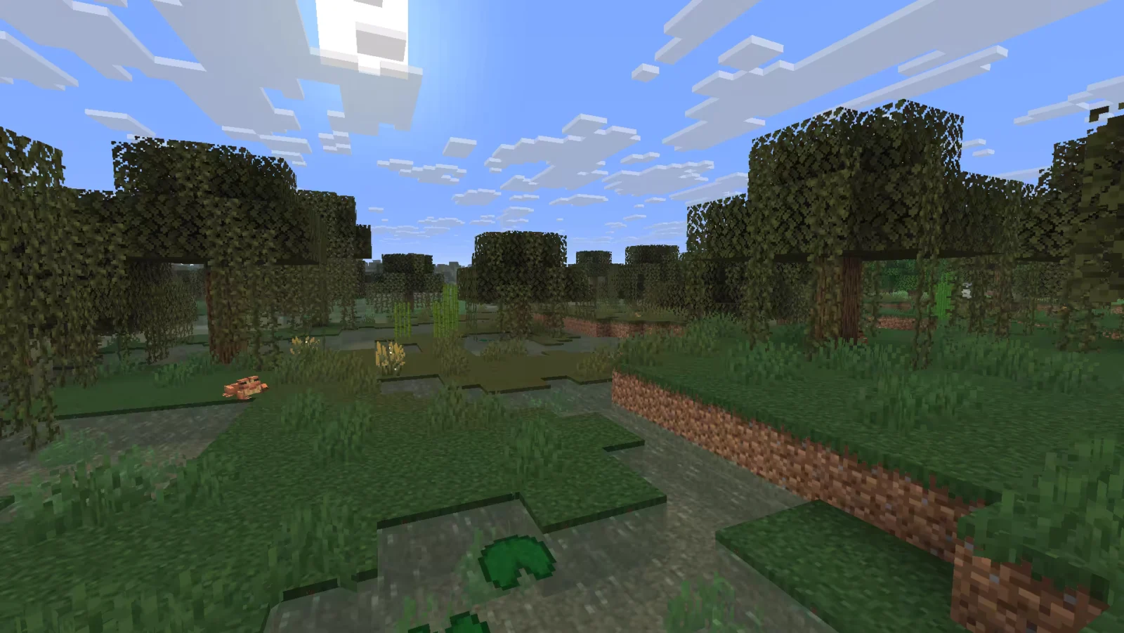 Biome Marais dans Minecraft.