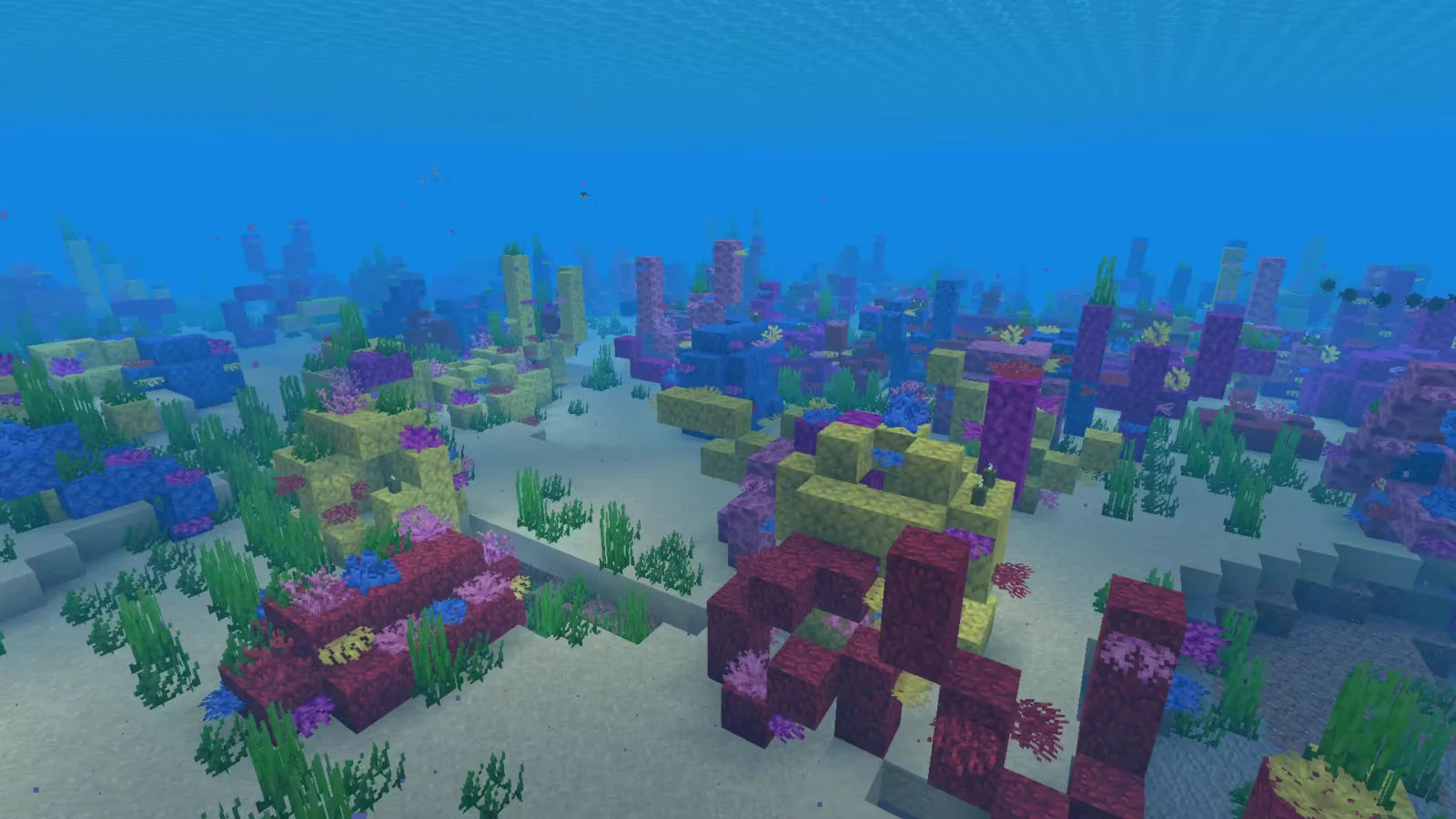 Biome Océan chaud dans Minecraft.