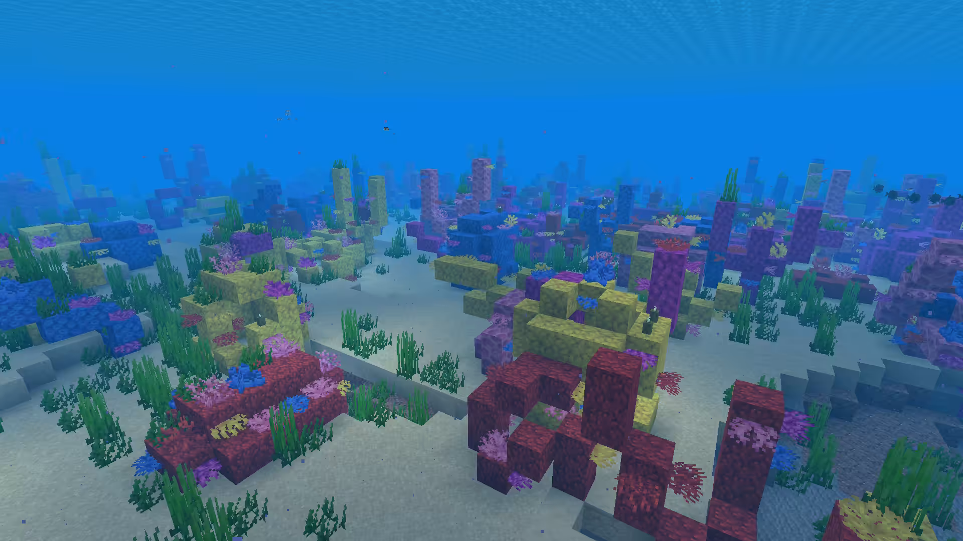 Biome Océan chaud dans Minecraft.