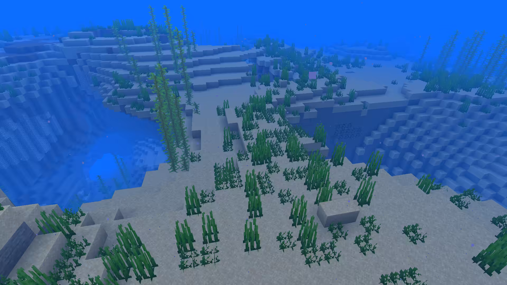 Biome Océan tiède dans Minecraft.
