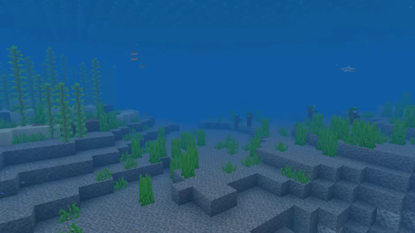 Biome Océan dans Minecraft.