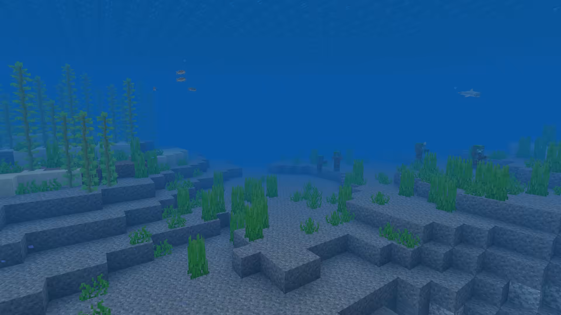 Biome Océan dans Minecraft.