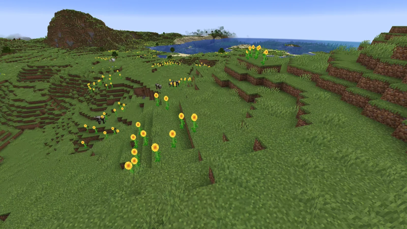 Biome Plaines de tournesols dans Minecraft.