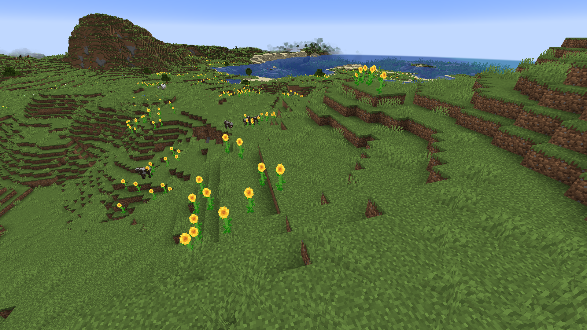 Biome Plaines de tournesols dans Minecraft.