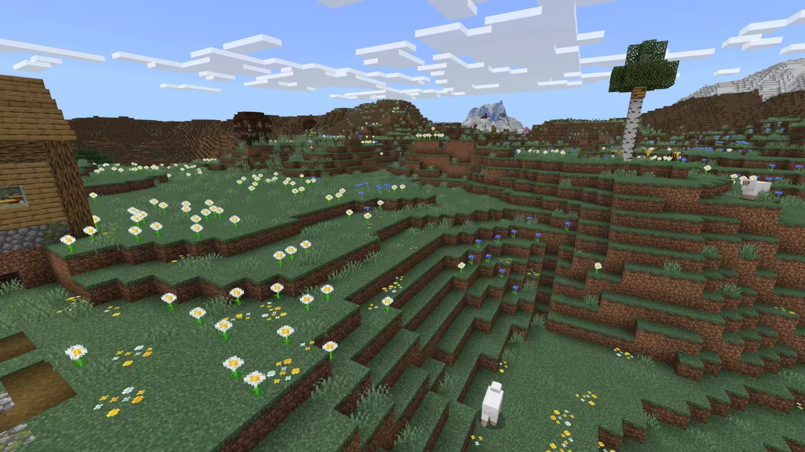 Biome Prairie dans Minecraft.
