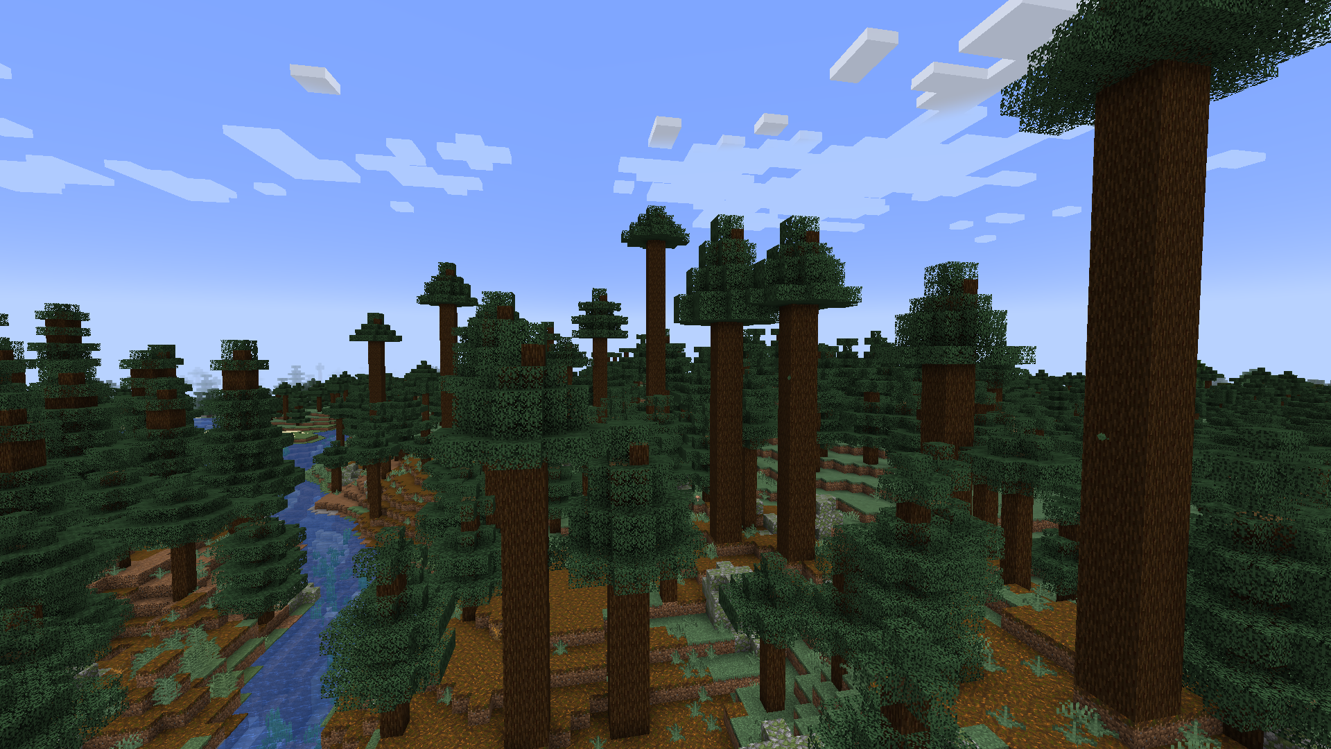 Biome Taïga ancienne de pins dans Minecraft.