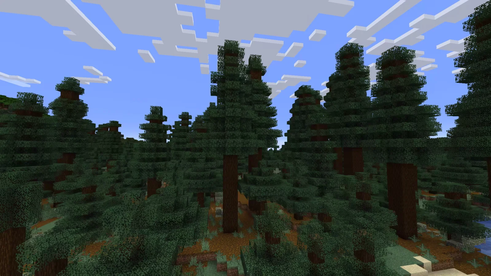Biome Taïga ancienne de sapins dans Minecraft.