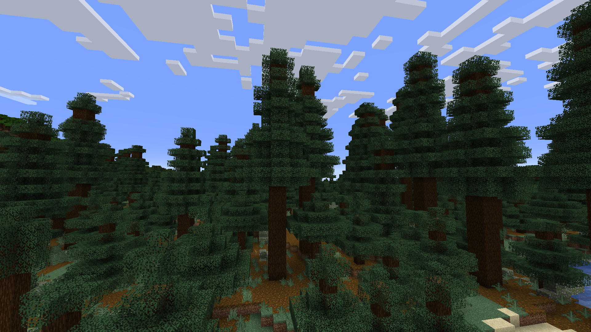 Biome Taïga ancienne de sapins dans Minecraft.