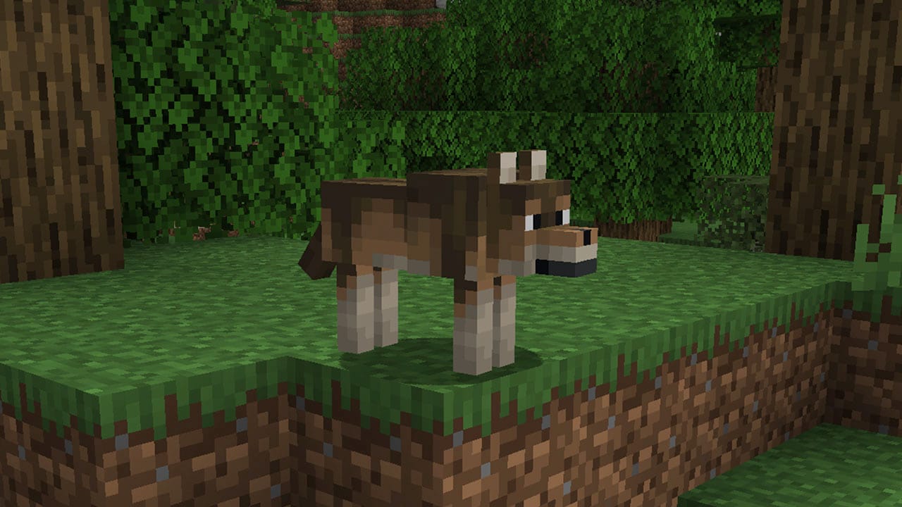 Loup des bois dans une forêt de Minecraft.
