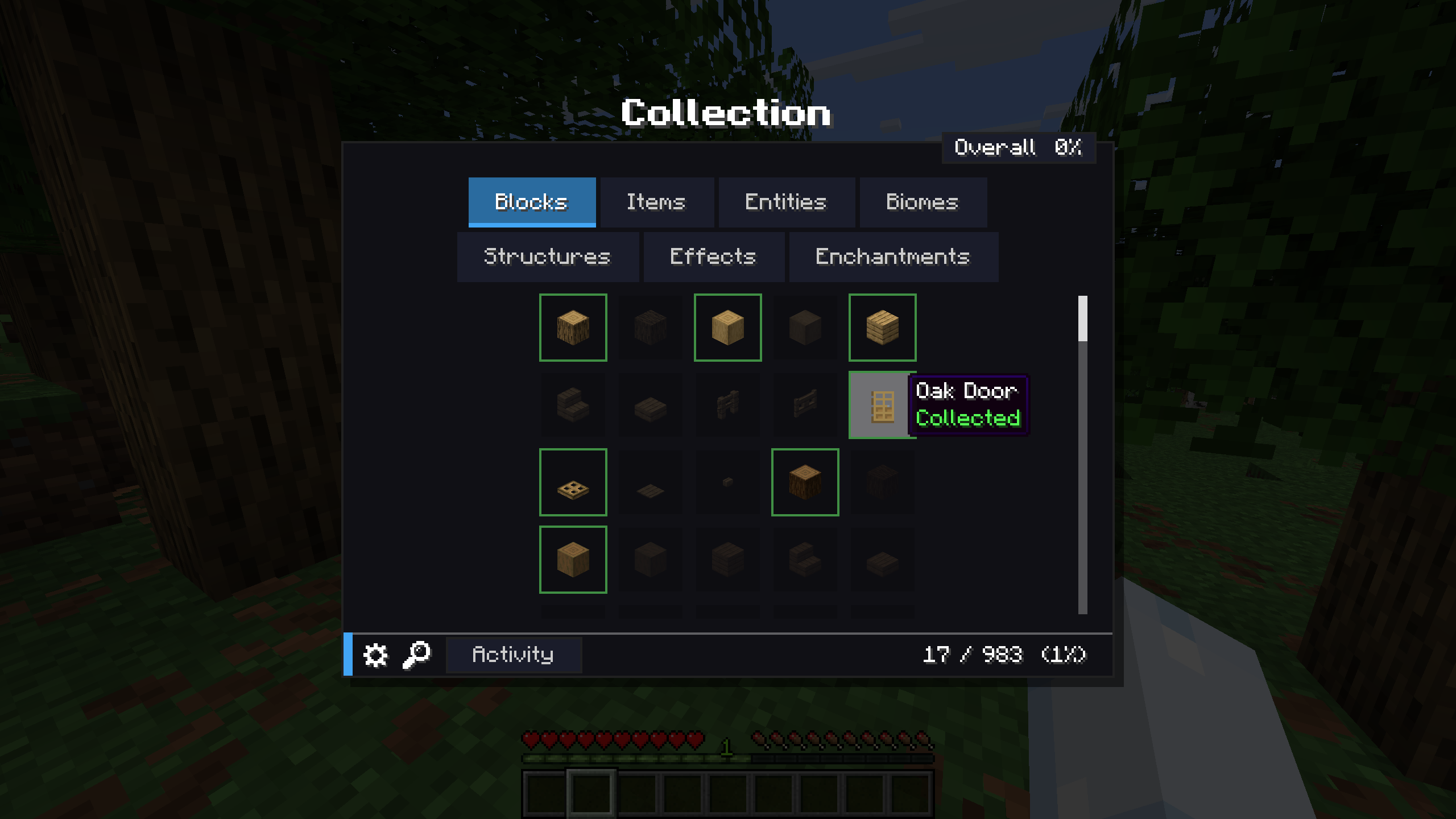 Description d’un objet collecté dans le mod Collect Everything pour Minecraft