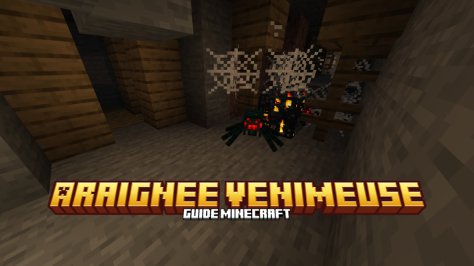 Araignee venimeuse
