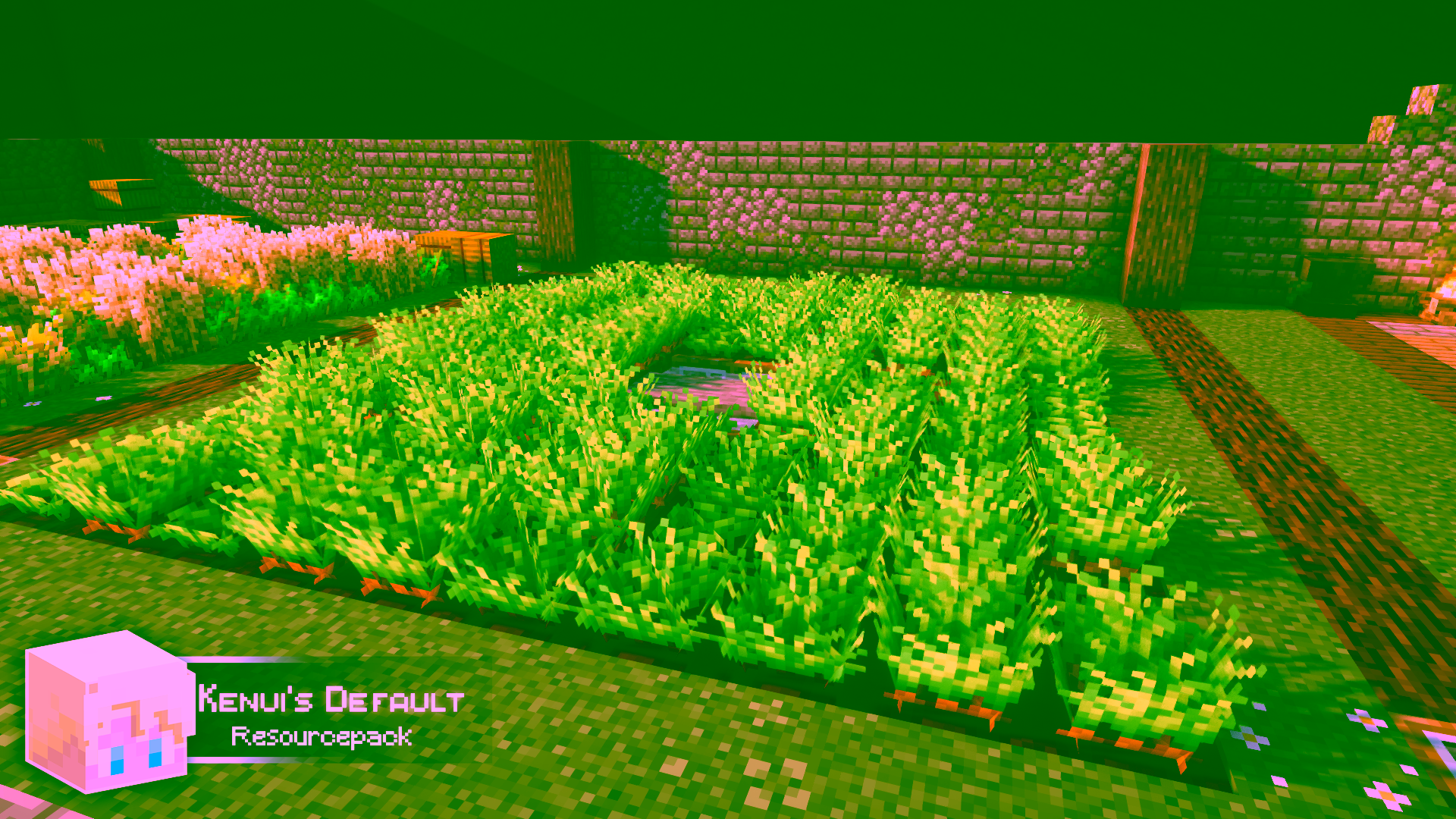 Champ de carottes avec le pack de textures Kenui’s Default dans Minecraft