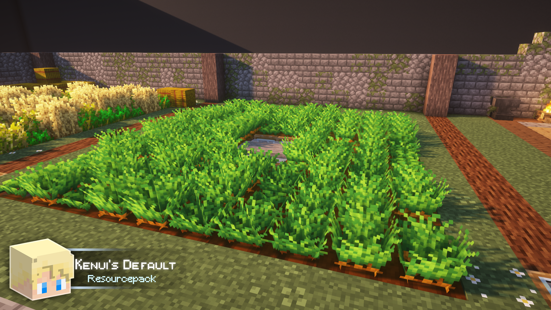 Carottes avec Kenui’s Default Champ de carottes avec le pack de textures Kenui’s Default dans Minecraft