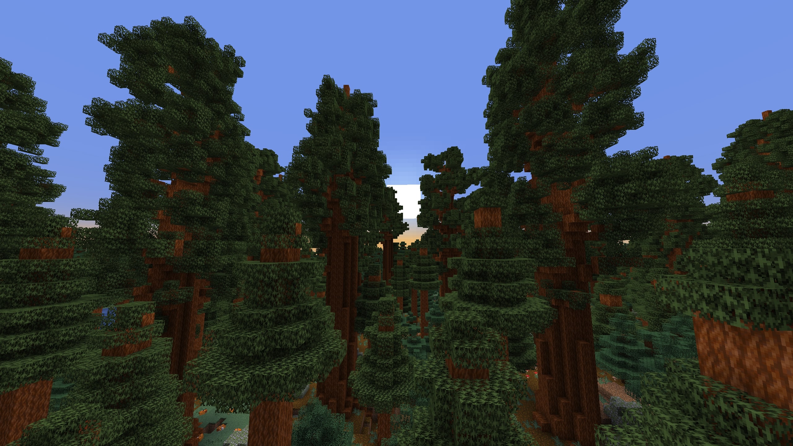 Coucher de soleil dans la forêt de Mariposa Coucher de soleil dans une forêt de séquoias géants du mod Mariposa pour Minecraft