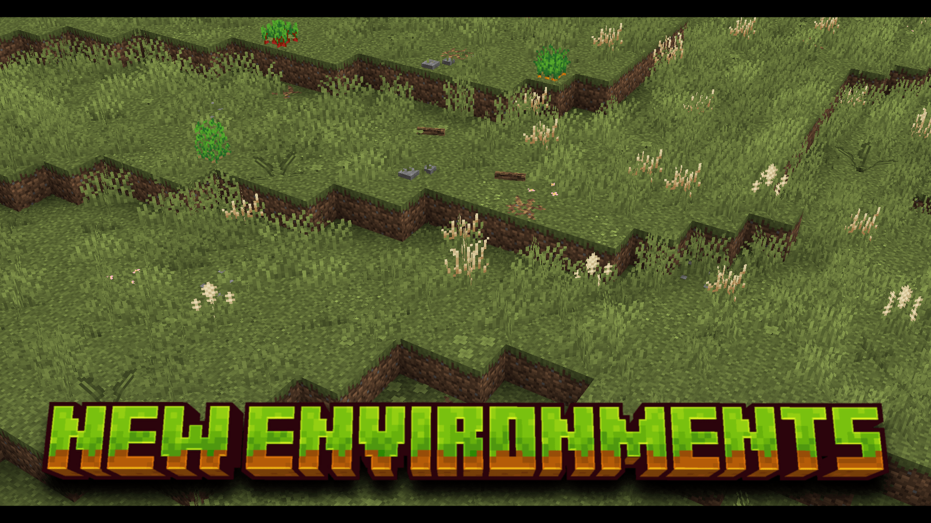 Environnements d’Overly Realistic