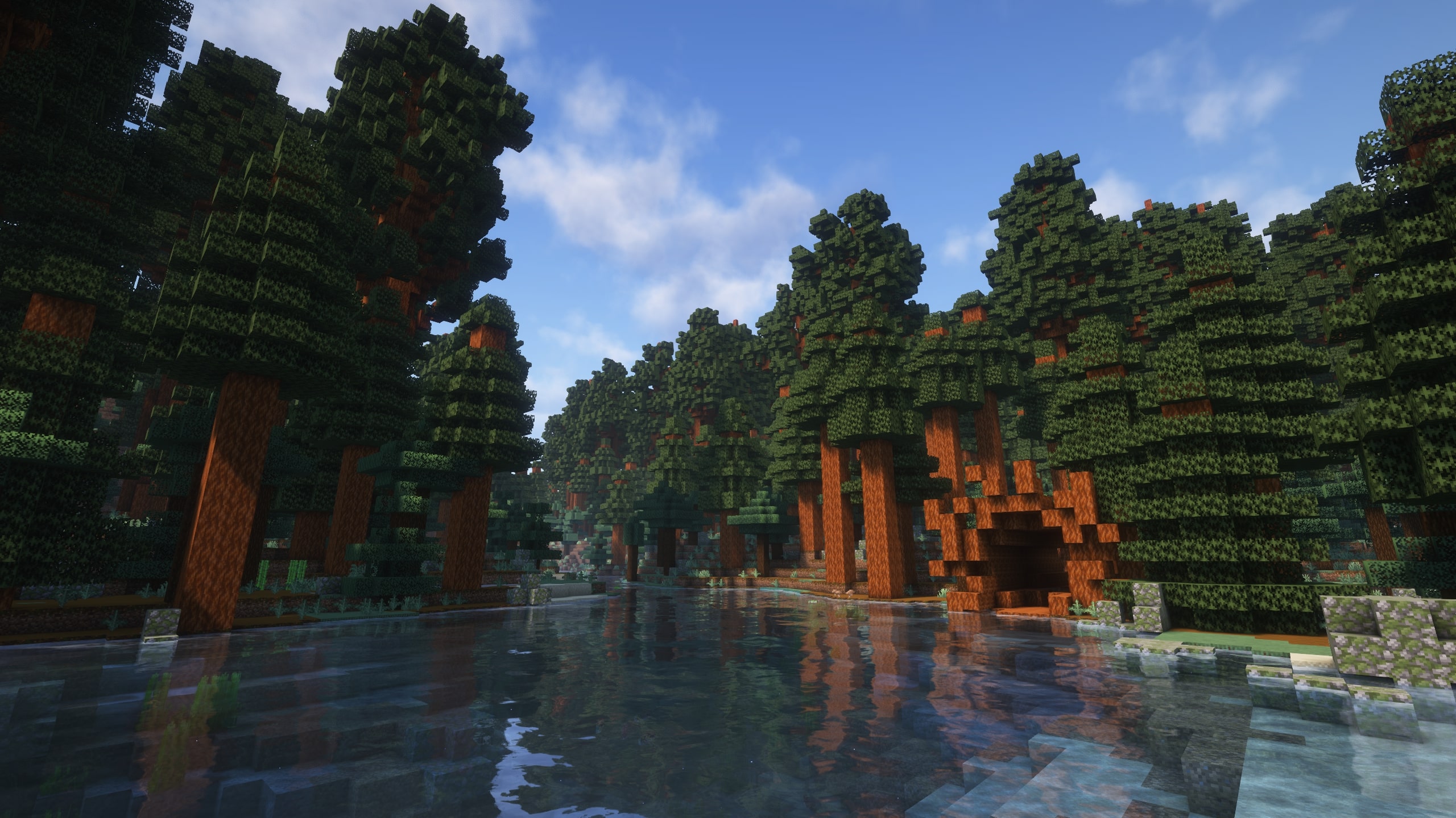 Forêt de séquoias avec shaders dans Mariposa Vue au sol dans une forêt de séquoias du mod Mariposa avec shaders dans Minecraft