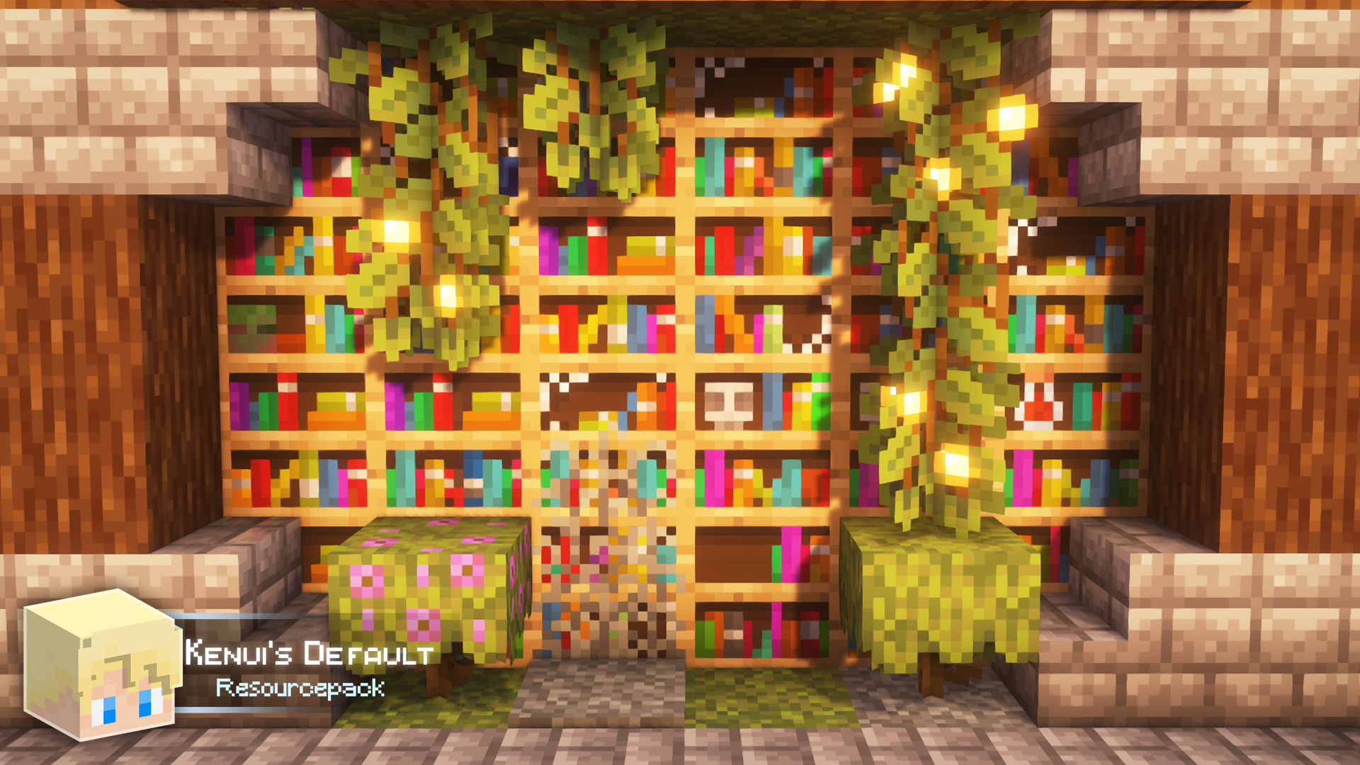 Bibliothèques variées avec Kenui’s Default Bibliothèques variées avec le pack de textures Kenui’s Default dans Minecraft