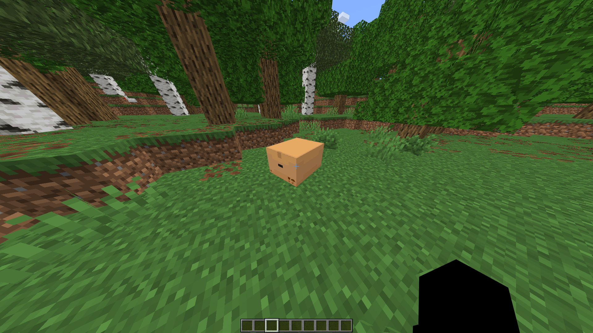 Verity dans sa boîte Verity dans une boîte dans l’add-on Bedrock pour Minecraft