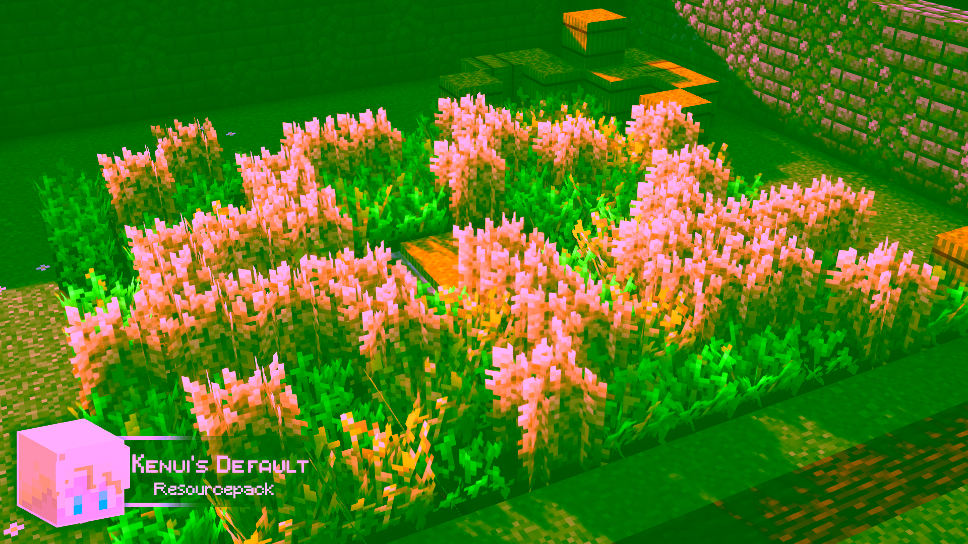 Champ de blé plus haut avec le pack Kenui’s Default dans Minecraft