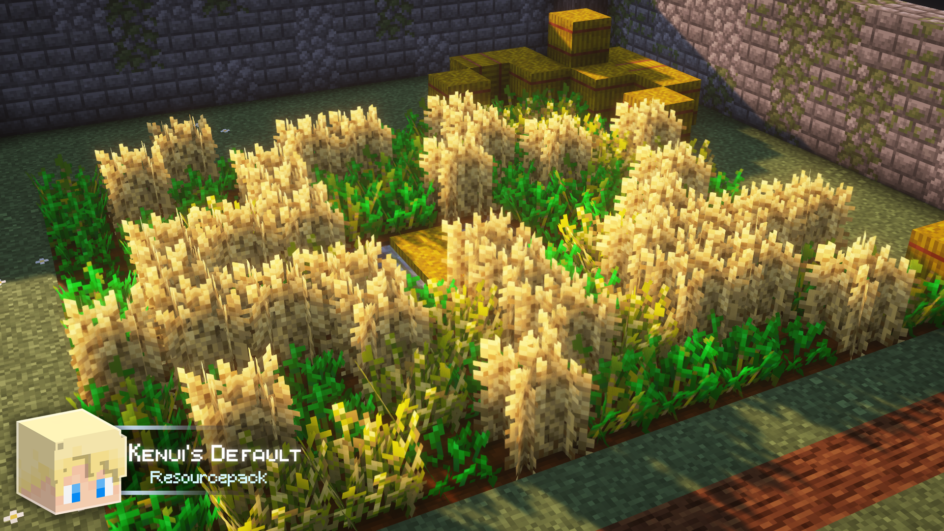 Champ de blé avec Kenui’s Default Champ de blé plus haut avec le pack Kenui’s Default dans Minecraft
