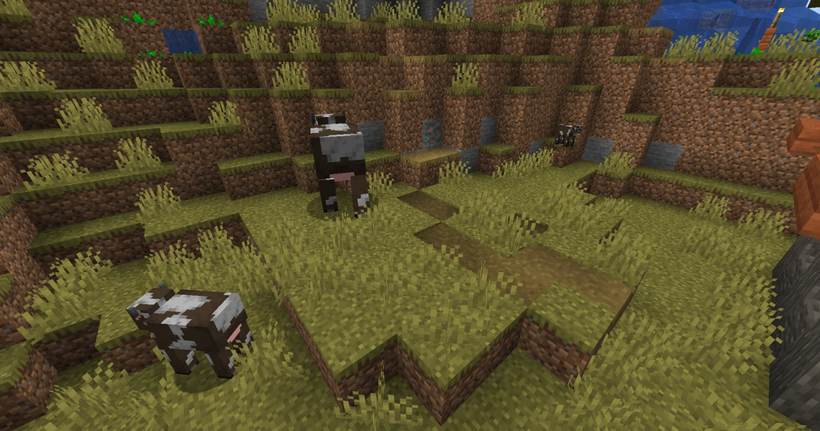 Vaches de différentes tailles avec Random Mob Sizes Vaches de différentes tailles avec Random Mob Sizes