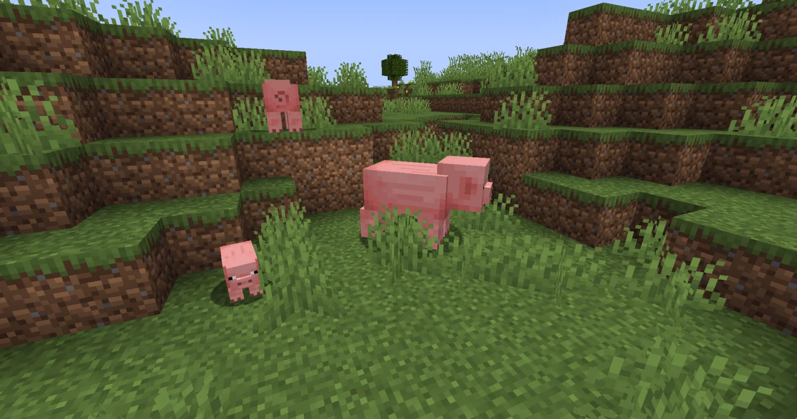Cochons avec Random Mob Sizes Cochons de différentes tailles avec Random Mob Sizes