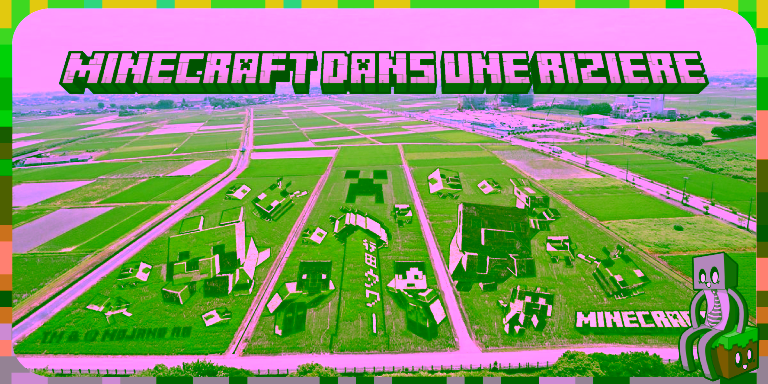 MINECRAFT DANS UNE RIZIÈRE