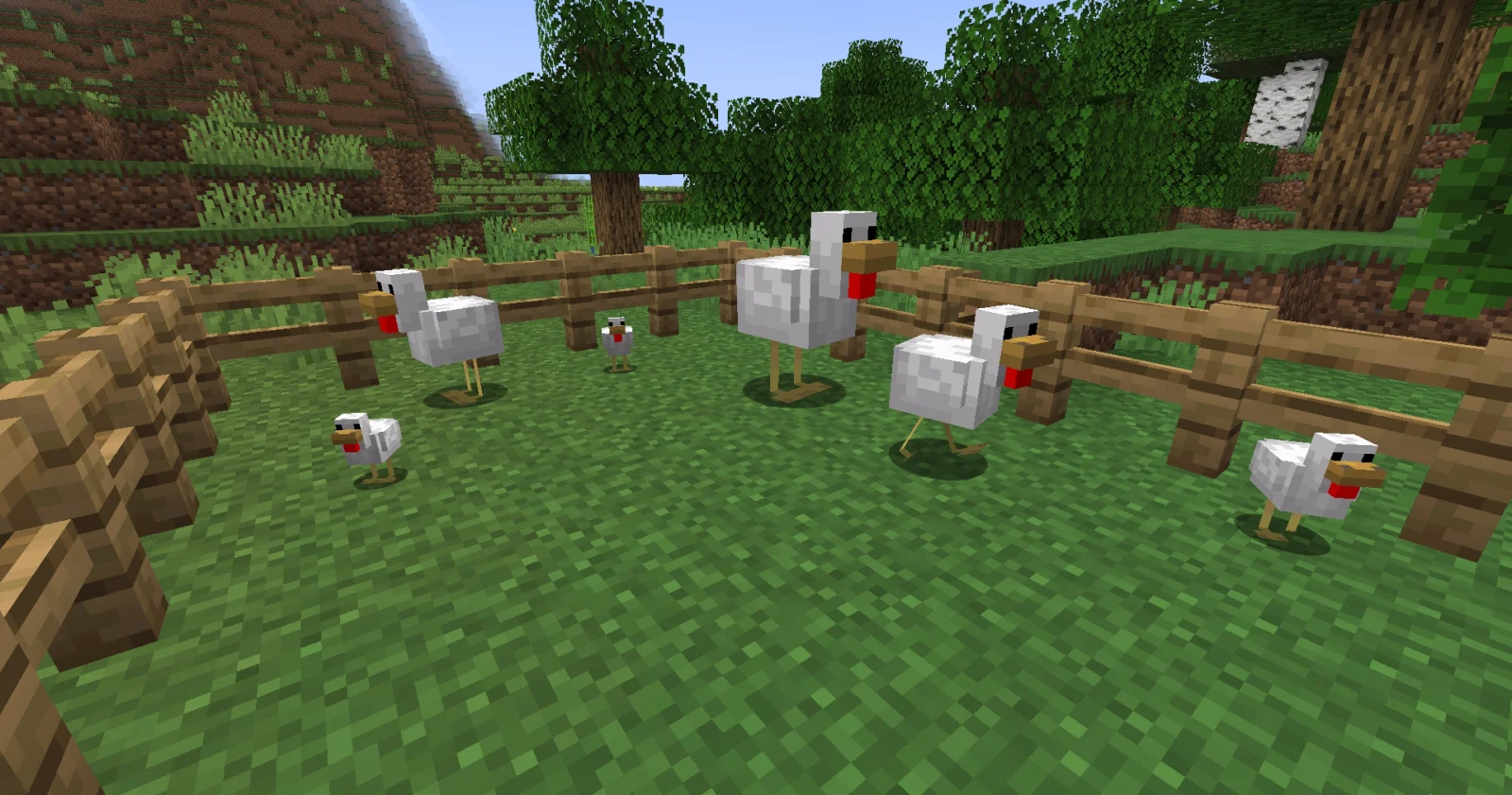Poulets de différentes tailles Poulets de plusieurs tailles avec Random Mob Sizes