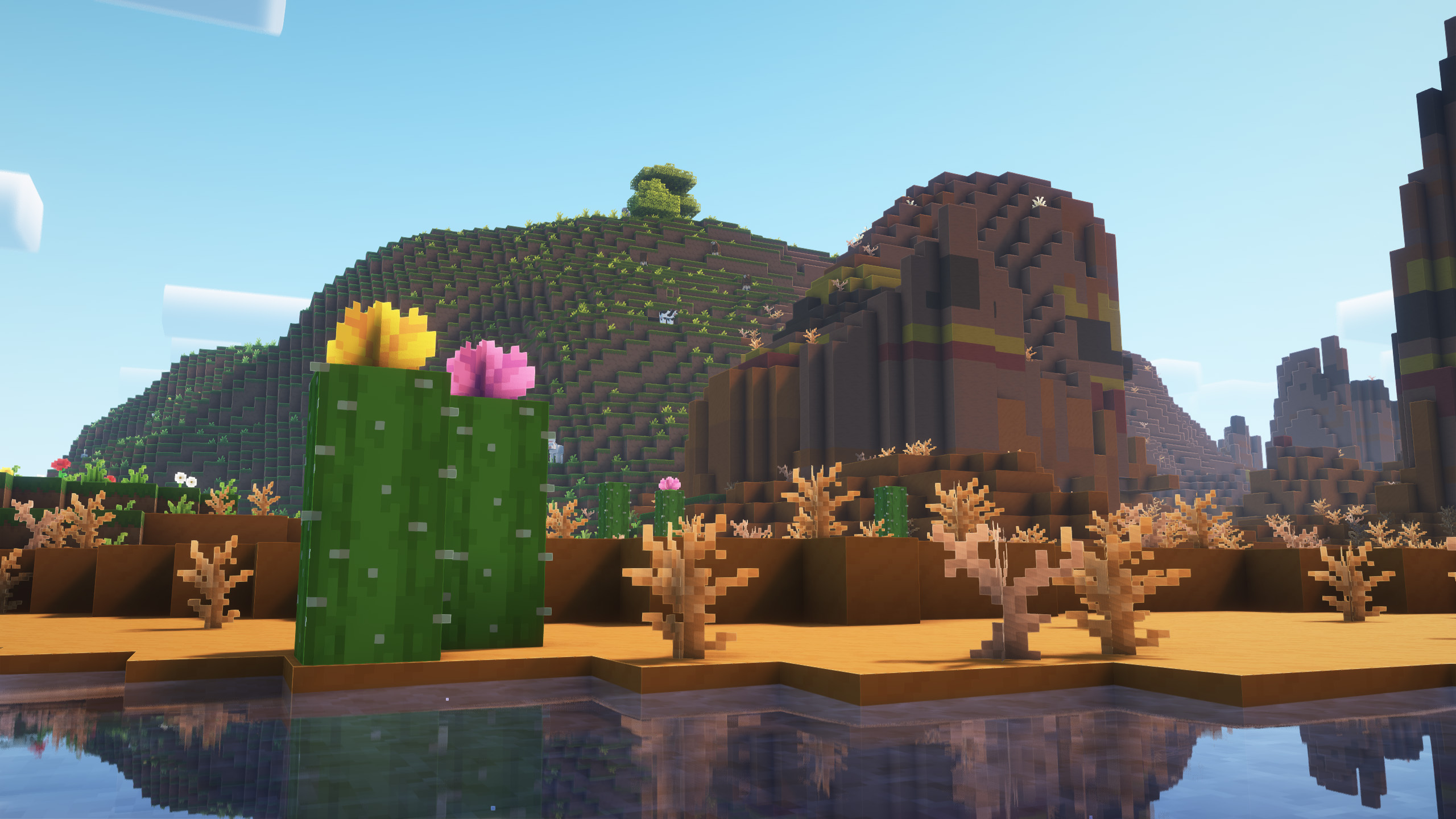 Simplified - Désert Désert de Minecraft avec le resource pack Simplified