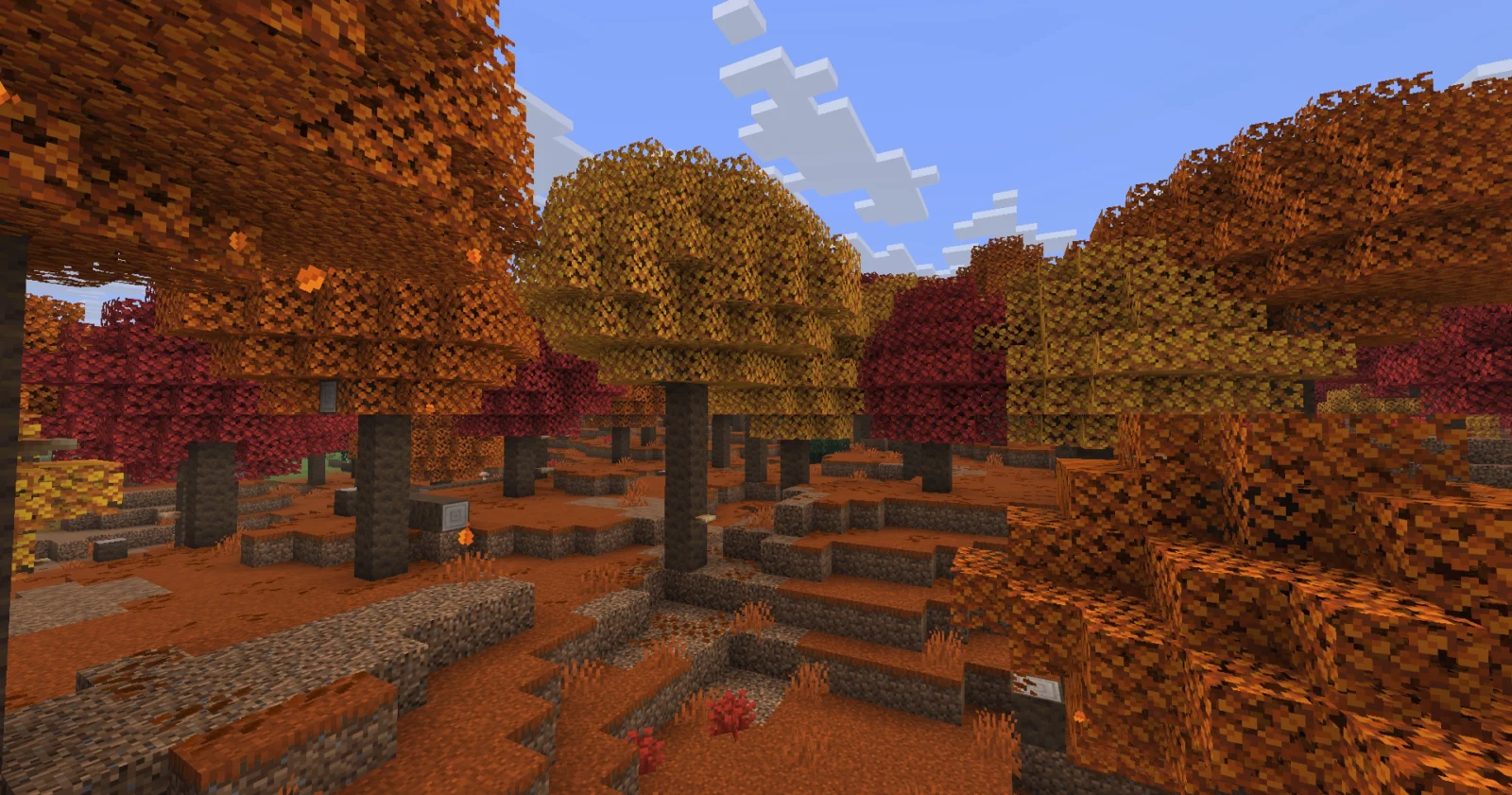 Forêt ambrée de Minecraft 26.3 avec ses peupliers aux feuillages rouges, orange et jaunes