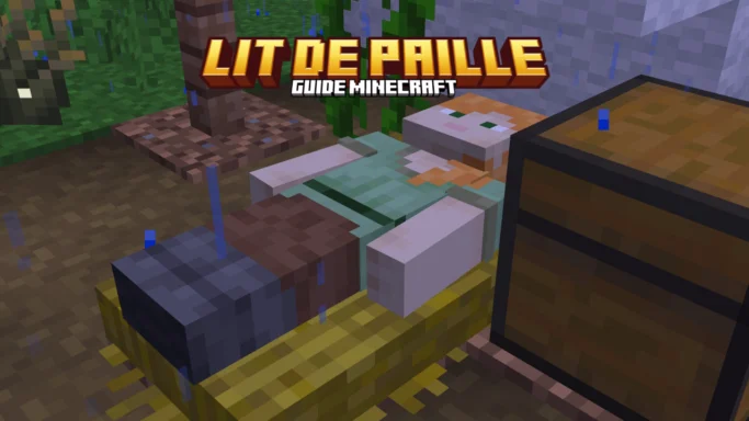 Lit de paille