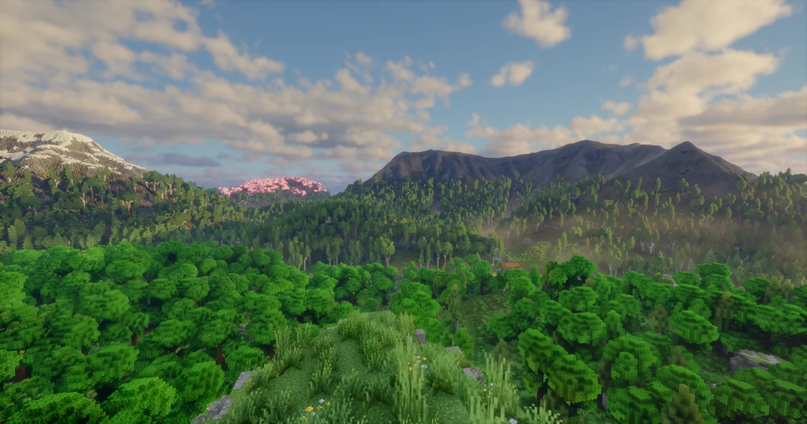 Forêts et montagnes de Elosia Grande forêt entourée de montagnes sur la map Elosia