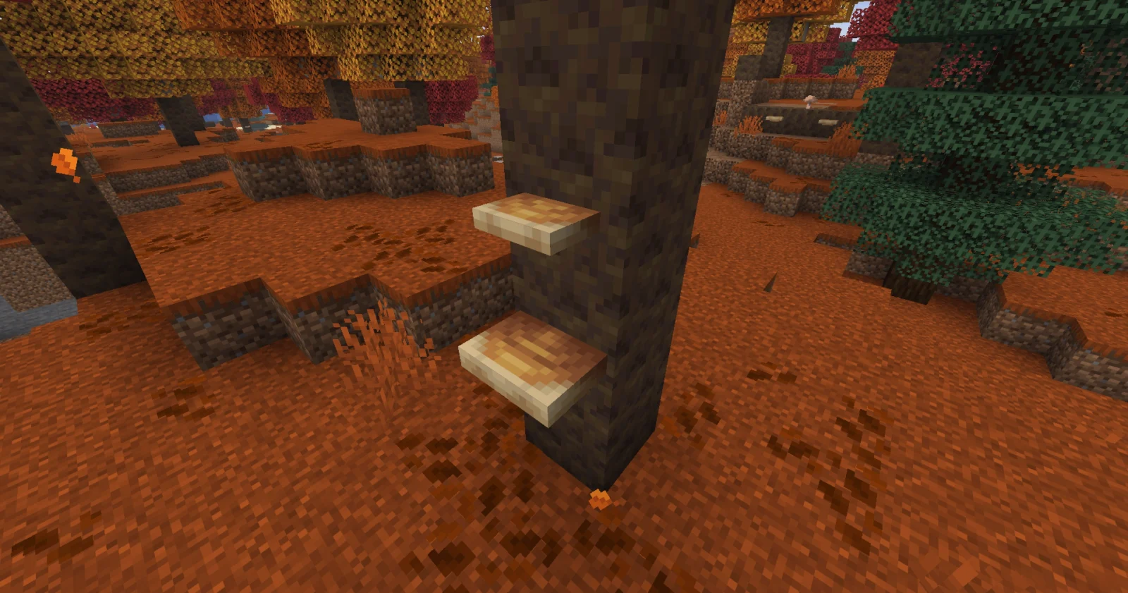 Petit et grand polypore ajoutés dans la forêt ambrée de Minecraft 26.3