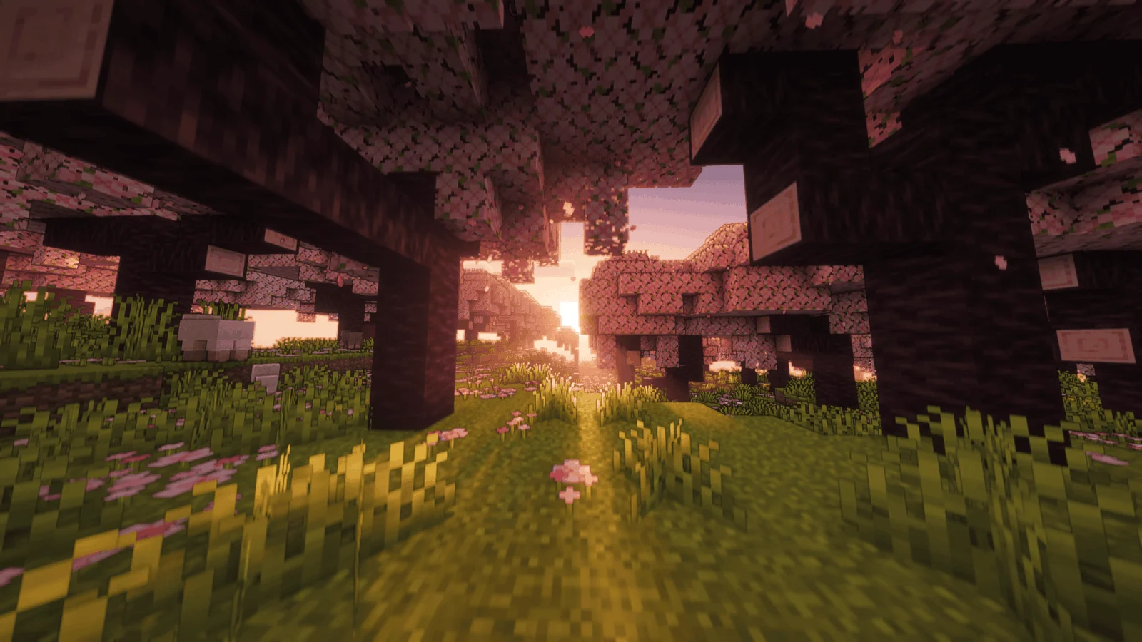 Cherry Grove avec Better Voxels
