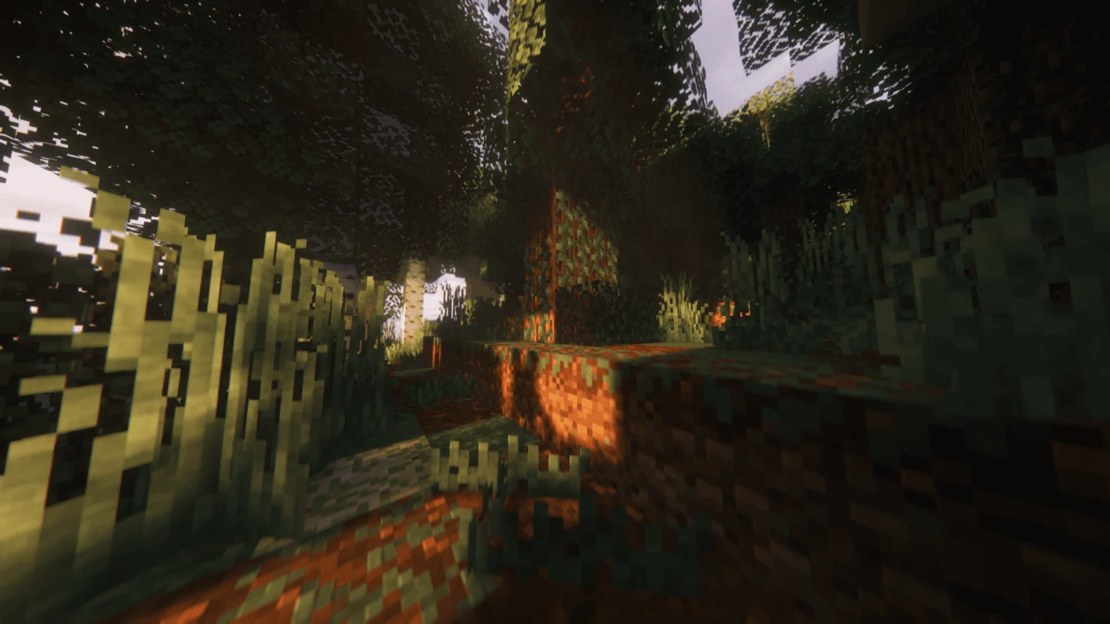 Forêt avec Better Voxels