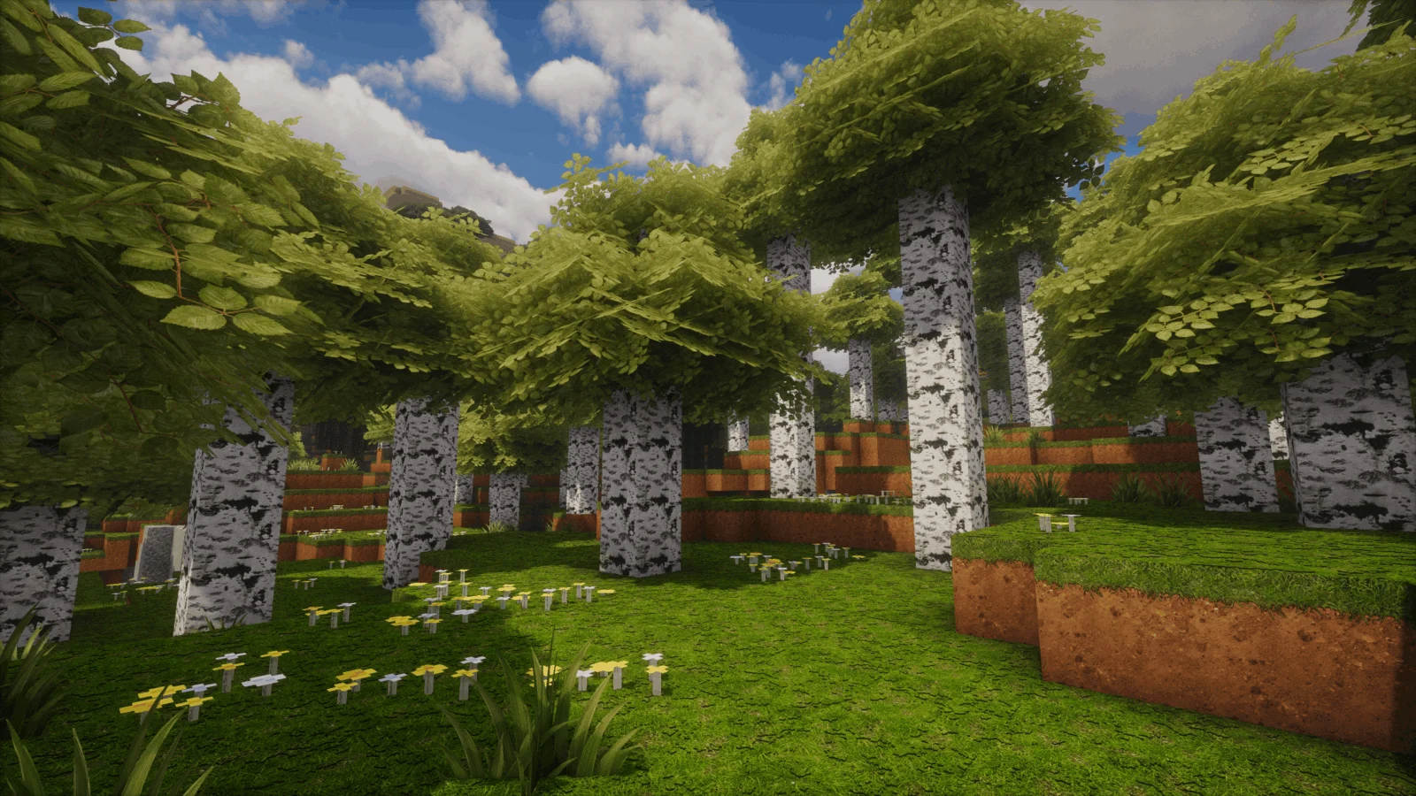 OdarIs Foliage