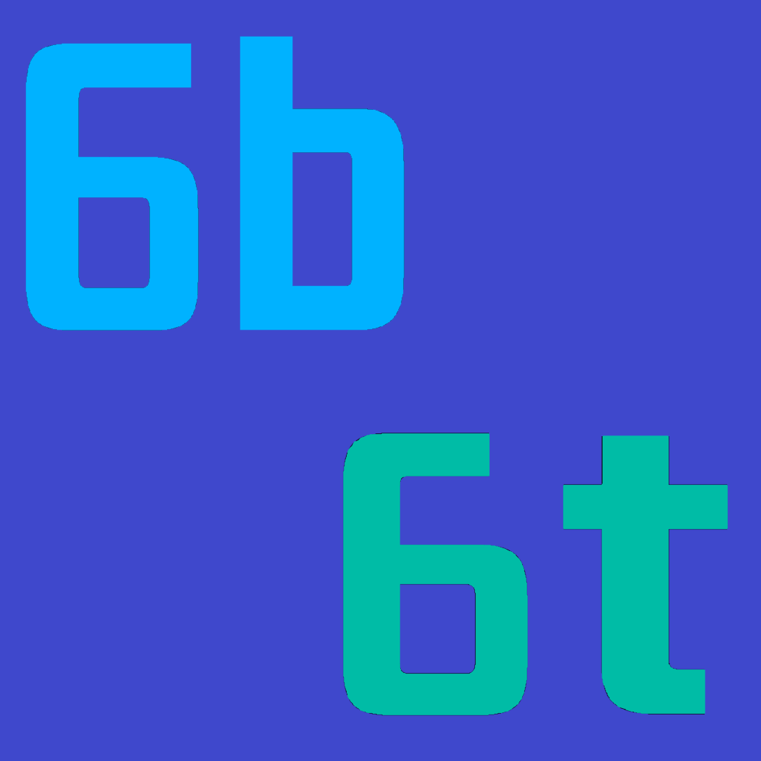 Logo du serveur Minecraft anarchique 6b6t