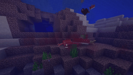 Simple Blood sous l'eau