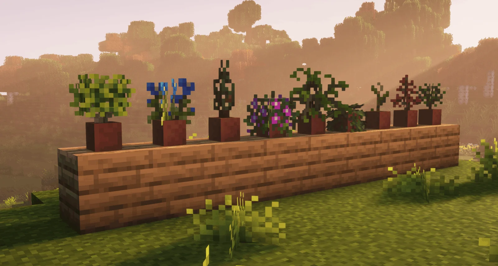 Garden Trails - Plantes en pot